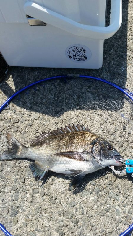 テトラ釣りにまた挑戦！