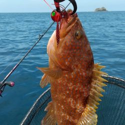 近海手漕ぎゴムボート