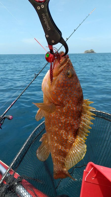 近海手漕ぎゴムボート