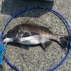 テトラ釣りに挑戦！