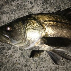 大物ゲスト登場！2021ライトゲーム第9戦