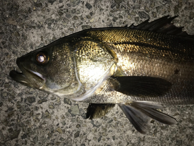 大物ゲスト登場！2021ライトゲーム第9戦