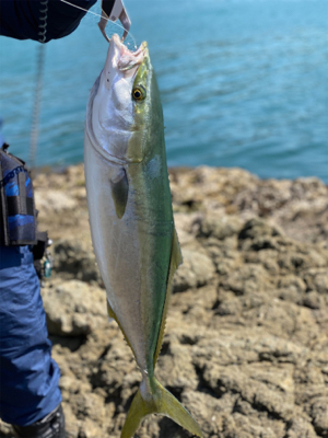 2連チャンで！！