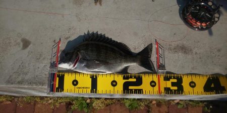 黒を求めて　～辰巳橋～