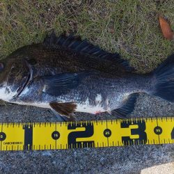 1年半たちました　～ぐるり公園～