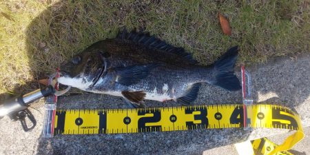 1年半たちました　～ぐるり公園～