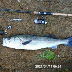 久々に納得の釣果がありました！