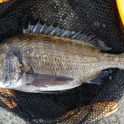 テトラ釣りに挑戦!!