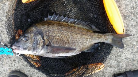 テトラ釣りに挑戦！！