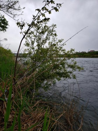 入るとこ無い( ノД`)…