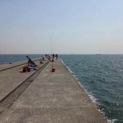 神戸エリアでショアジギング青物！