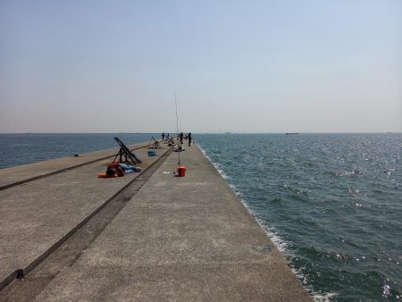 神戸エリアでショアジギング青物！