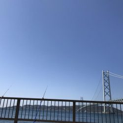 わかめもうみけむしの猛攻