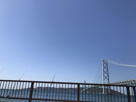 わかめもうみけむしの猛攻