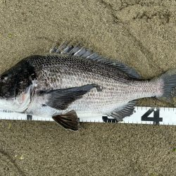 イチノ兄弟、釣果！