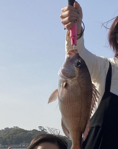 鳥羽シーサイドホテル裏には真鯛