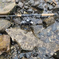 天気がいいので