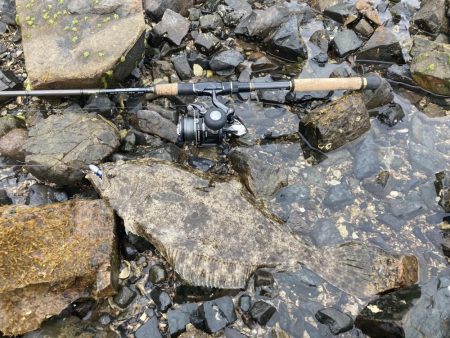 天気がいいので