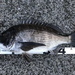 イチノ兄弟、釣果！