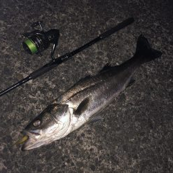 納得サイズでした!