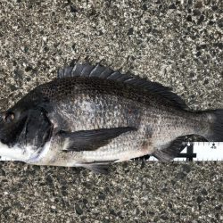 イチノ兄弟、釣果！