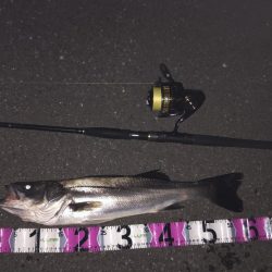 ちょっとだけサイズアップ