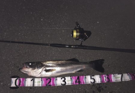 ちょっとだけサイズアップ