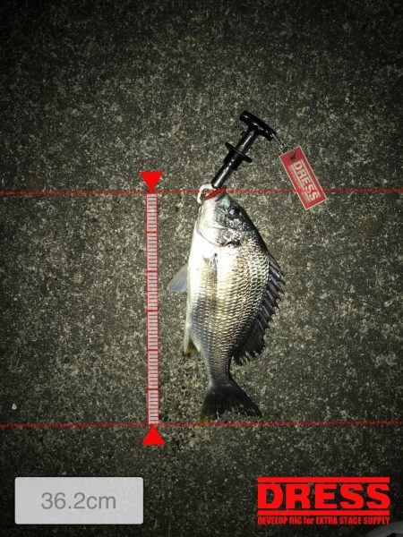 西宮キビレゲーム