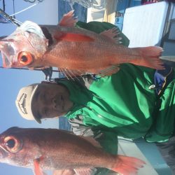 喰い喰い　高級魚釣り^_^