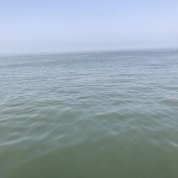 ジクサビキとダイソーバイブ