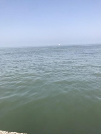 ジクサビキとダイソーバイブ