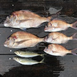 鳴門　ウチの海　イカダ