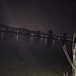 紀の川のチニング