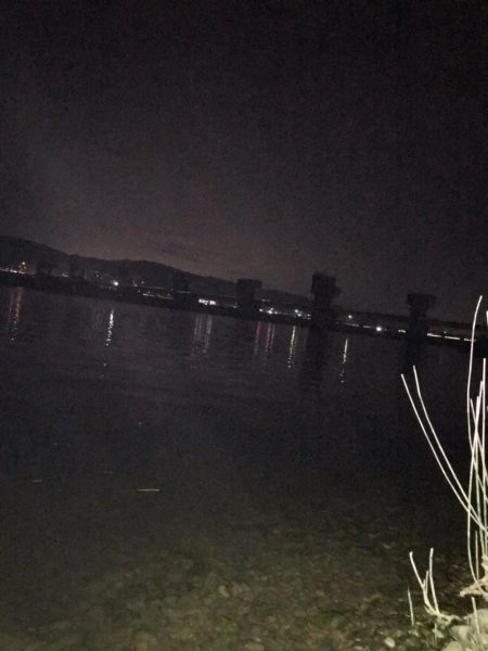 紀の川のチニング