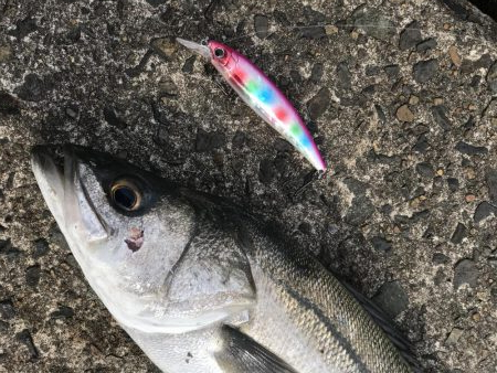 開始5分で❗️…