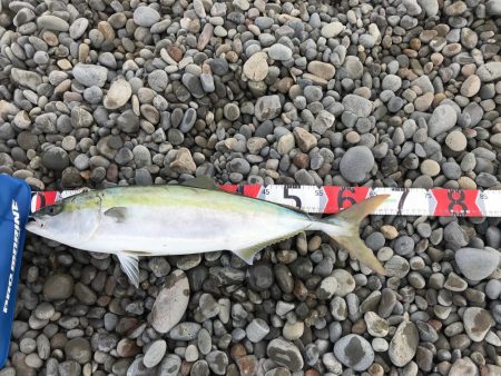 強風の中、ブリゲット