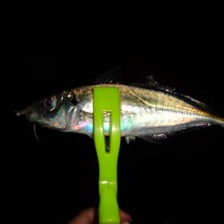 ノー残業デーだったので仕事終わりに行って来ました。