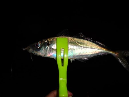 ノー残業デーだったので仕事終わりに行って来ました。