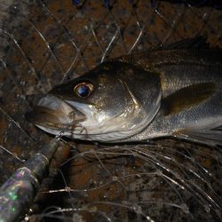 爆風の中で…。