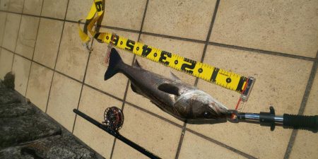 昼間の干潮手前  ~さざなみ公園~