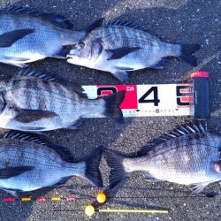 これは、、、始まってますなぁ