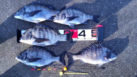 これは、、、始まってますなぁ