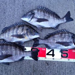 数は上向き 型は下向き