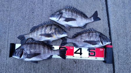 数は上向き 型は下向き