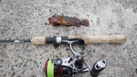 久しぶりの釣果！