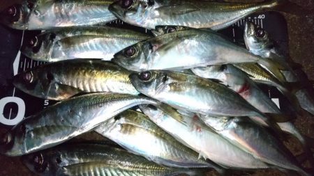 フロートアジング　