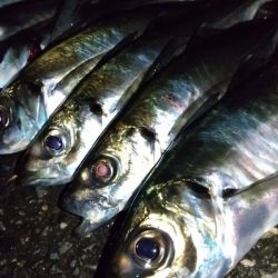 フロートアジング