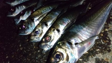 フロートアジング