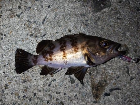 自己記録を求めて