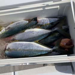 久しぶりに萩沖へ